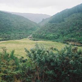 House relocation; from 10 Parliament St, Lower Hutt, to Karapoti  1; smaller unit