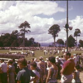 A & P show; grand parade.