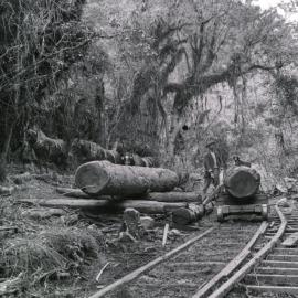 Timber industry; transporting logs, Akatarawa Valley