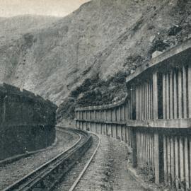 Rimutaka Incline; windbreaks