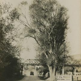 Silverstream railway bridge 2 (1903-1957) crossing the Eastern Hutt Road.