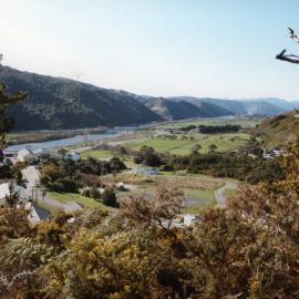 View from above Silverstream Hospital; c1985.
