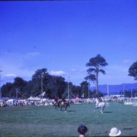 A & P Show; equestrian event, Trentham Memorial Park