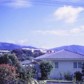 Dowling or Prouse Grove hilltop, Silverstream, ca 1960s