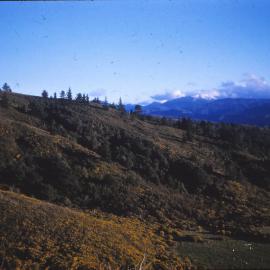 Hills near Upper Hutt