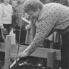 Arbor Day 1987; Councillor Shirley Russell plants a tree in Trentham Memorial Park.