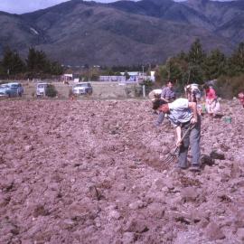 Upper Hutt College potatoes 1963