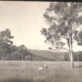 Two women in field; date unknown