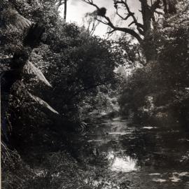 Old house; Barton homestead album  7; 'The Manor House', Trentham; the Silver Stream, in the bush further down.