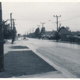Flood, 1976; Silverstream; 1 of 9