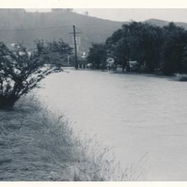 Flood, 1976; Silverstream; 2 of 9