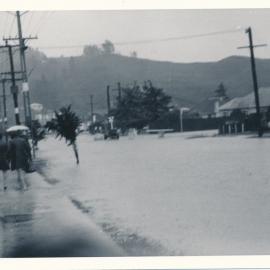 Flood, 1976; Silverstream; 3 of 9