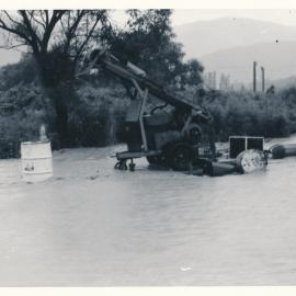Flood, 1976; Silverstream; 4 of 9