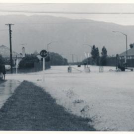 Flood, 1976; Silverstream; 5 of 9