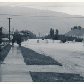 Flood, 1976; Silverstream; 6 of 9