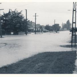 Flood, 1976; Silverstream; 7 of 9