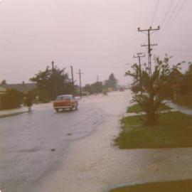 Flood, 1976; Silverstream; 9 of 9