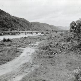 River erosion protection; site of five-hectare willow nursery for  the Regional Council.