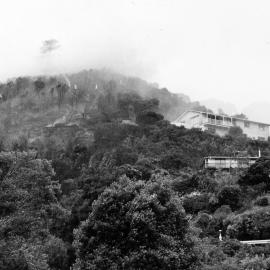 Scrub Fire on Emerald Hill, January 1988