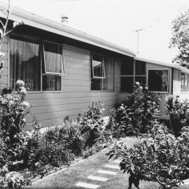House, Tui Grove; north wall.