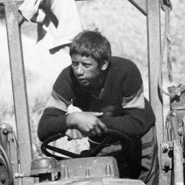 Heretaunga College; tree-planting, Mana Island; Ian Aramoana driving a tractor.
