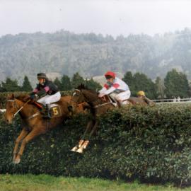 Racing; Wellington Steeplechase; Sir Avion, and Mi Senor (winner) right 