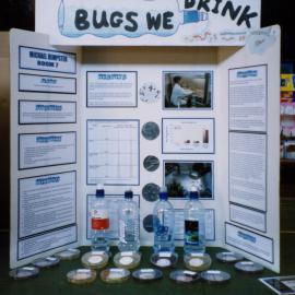 Maidstone Intermediate Year 8 science fair; Michael Dempster's winning entry