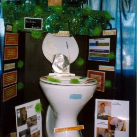 Maidstone Intermediate Year 8 science fair; Jaden Te Amo's and Buddy Nuku's entry.