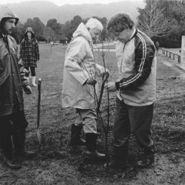 Trentham Memorial Park; column oak planted to commemorate the amalgamation of two councils.