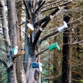 Blue Mountains road; tree grows gumboots