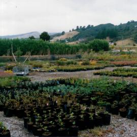 Wellington Plant Wholesalers, 274 Katherine Mansfield Drive.