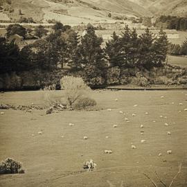 Jackson family and friends; Lynne on Pepper, late 1960