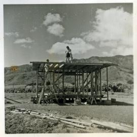 Revelle Jackson; 5 Paton Street, Mangaroa house 10; frame work and roof 