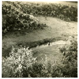 Jackson family and friends; Stella Jackson rinsing the washing 1952