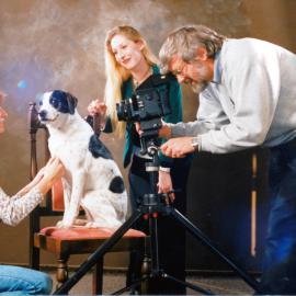 'High Profile' model agency opens; Diane Richardson, 'Eddie', Jacqueline Hailwood, Andrew Chaplow