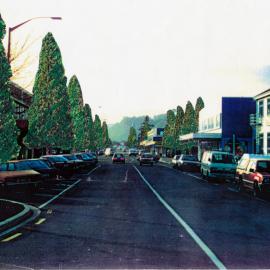 Traffic management; proposed changes to Queen Street; avenue of Japanese cedars.