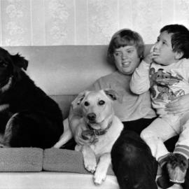 Sonia Keenan with three-legged Yankee, blind Kimba, and Owen, 5.