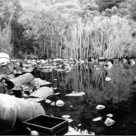 Silverstream landfill; liquid-waste lagoon, about 75 by 30-40 metres.