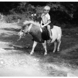 Staglands pony, c.1970s