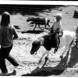 Staglands pony ride c. 1970s