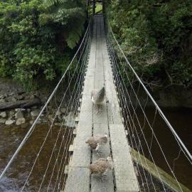 Staglands Suspension Bridge