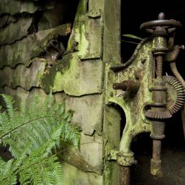 Staglands 7