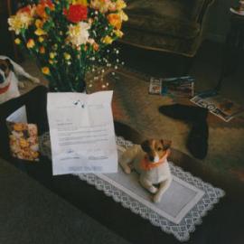 Tessa and Jack's wedding 26; flowers from Radio Pacific