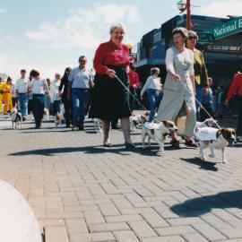 Tessa and Jack's wedding  5; grand parade