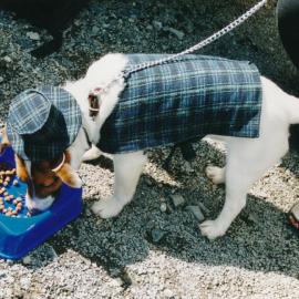 Tessa and Jack's wedding 22; guest Leroy McArthur