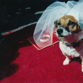 Tessa and Jack's wedding 12; the bride