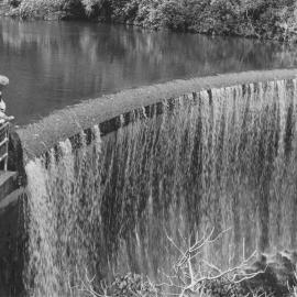Birchville water-supply dam 5; taken during a 'Come Alive' walk at Cannon Point.