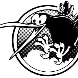 Sport and Recreation Council; 'Come Alive' campaign kiwi symbol