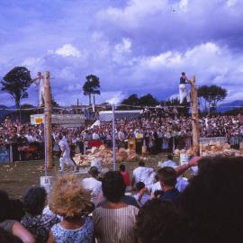 A & P Show; wood chopping competition