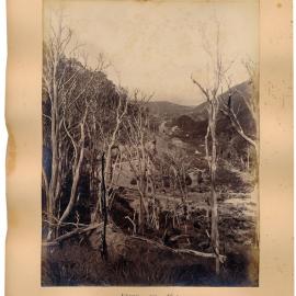 Wellington-Masterton Railway circa 1880; Rimutaka Incline and Cross Creek station.
